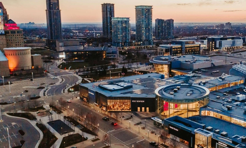 Ownership & Management