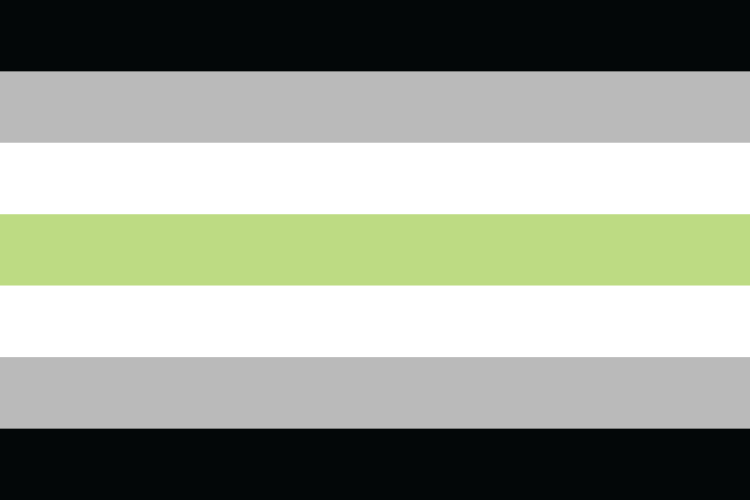 Agender Pride Flag