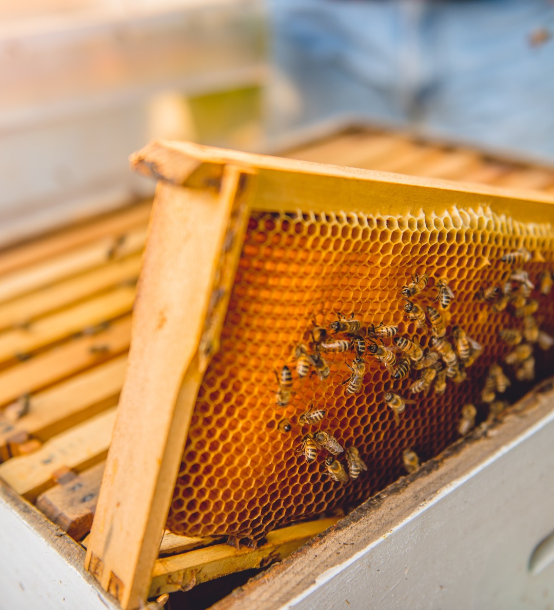 Our Commitment to Sustainability