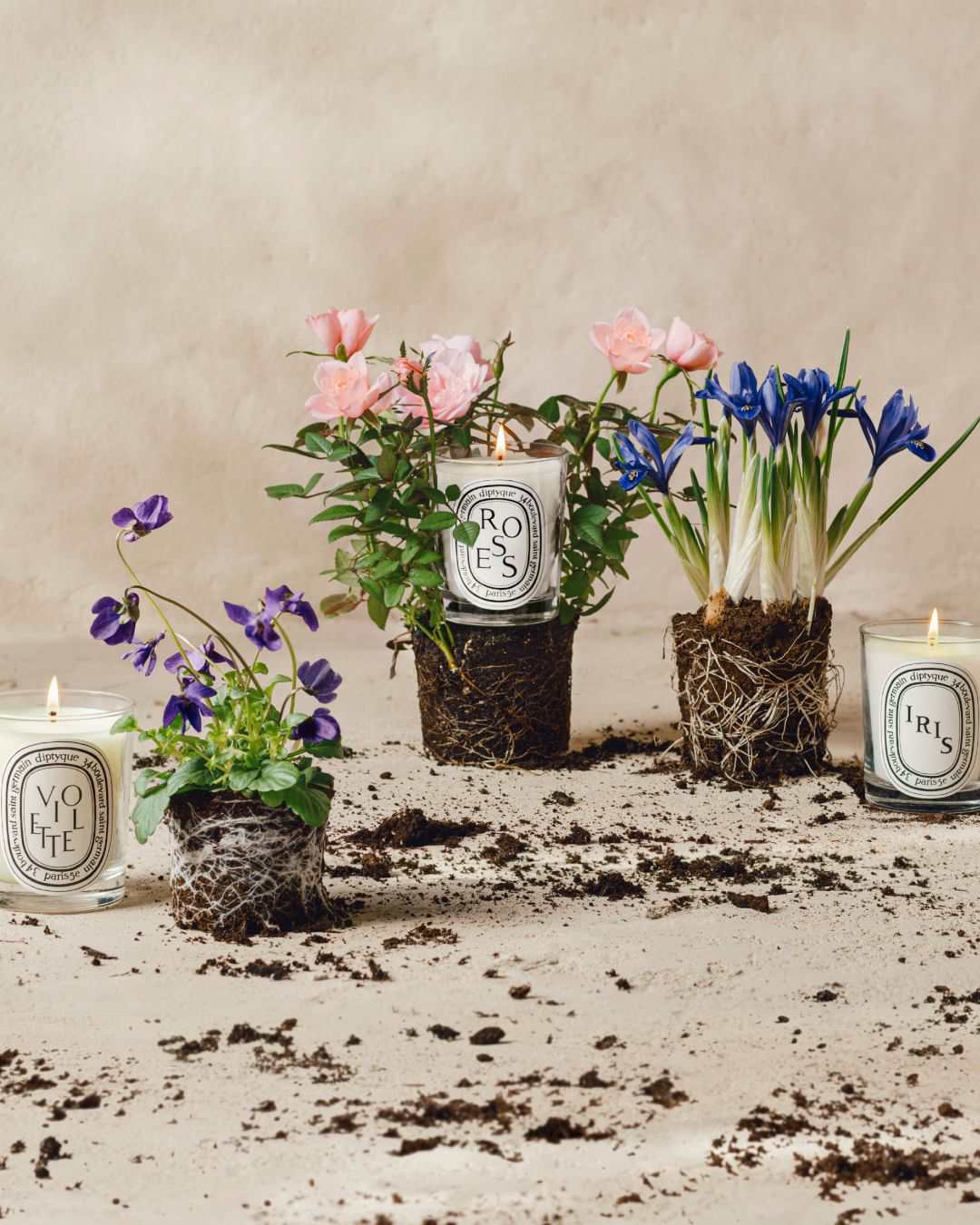 Candles