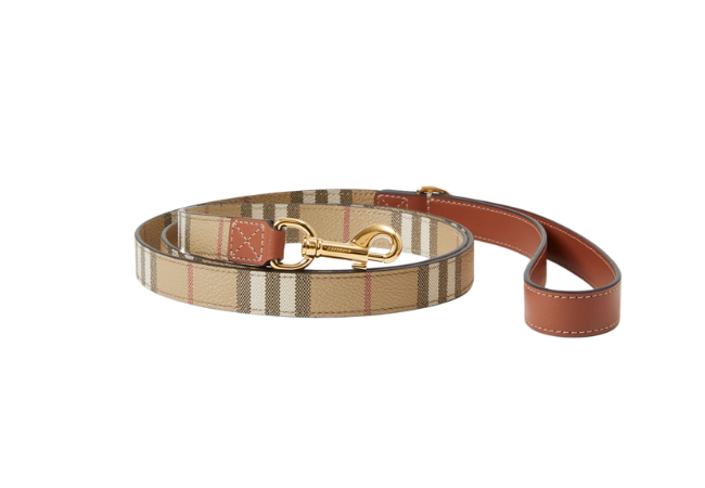 Check Dog Lead at Burberry