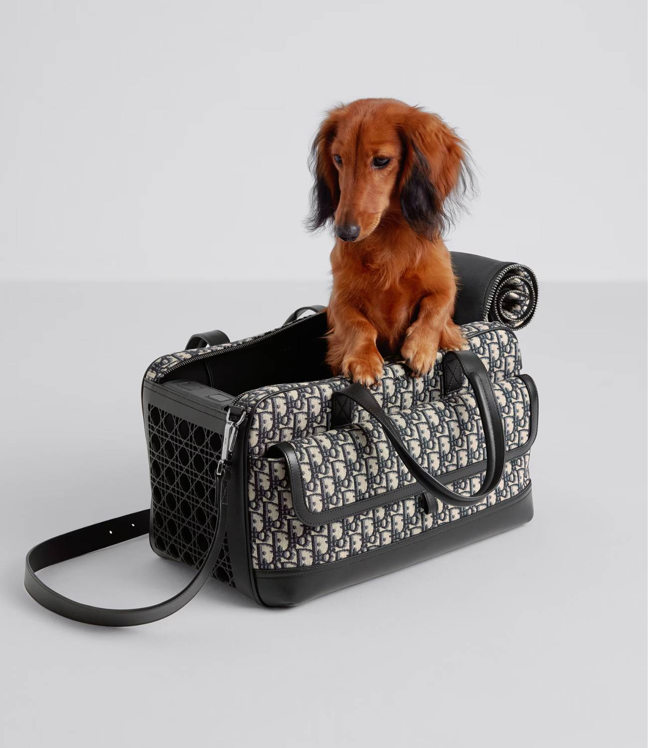 Designer Wearables for Stylish Dogs