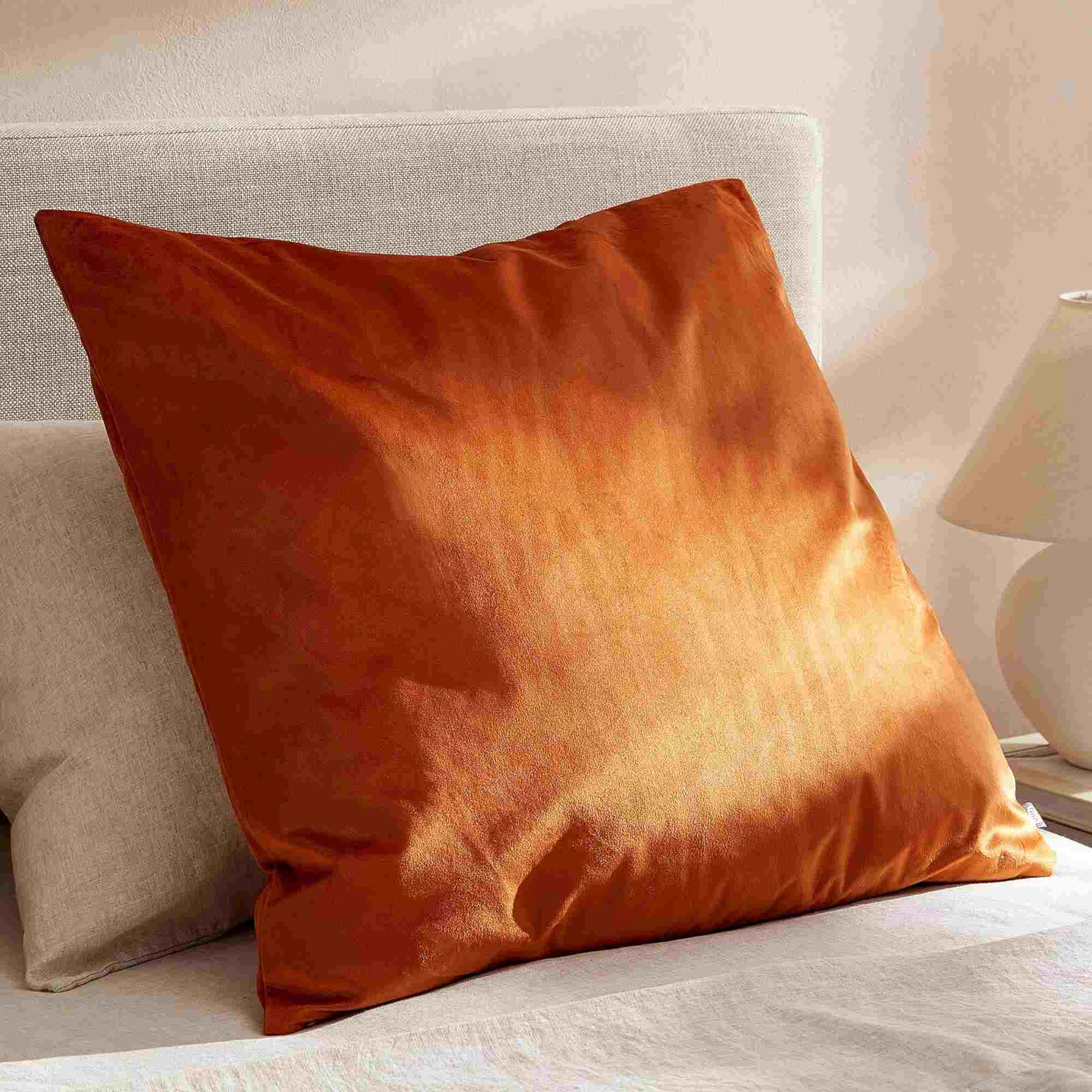Opulent Velvet Cushion