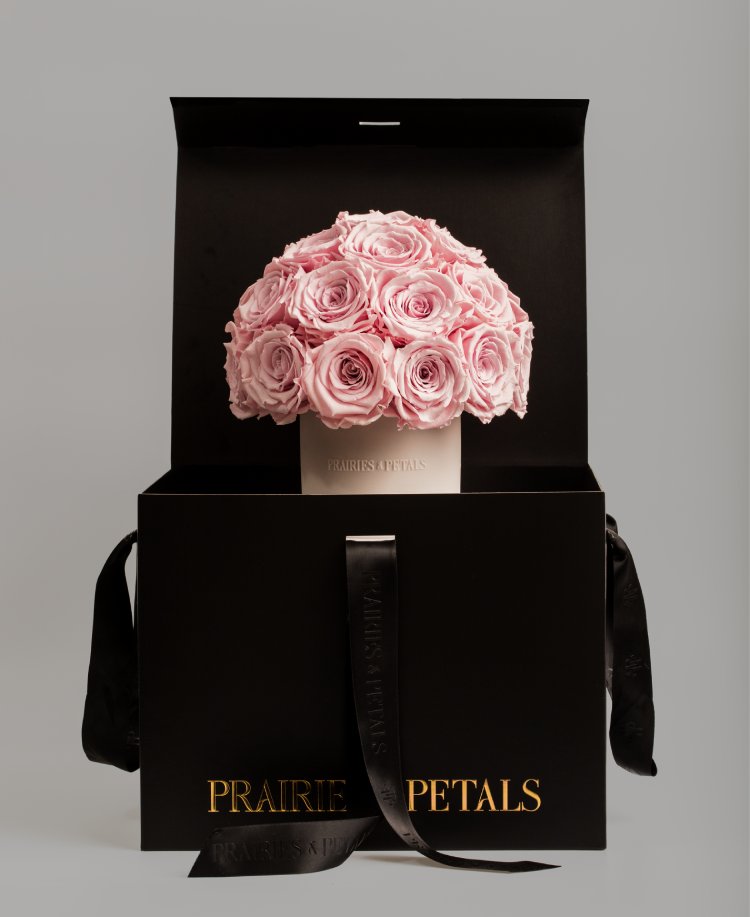 Prairies petals blooms