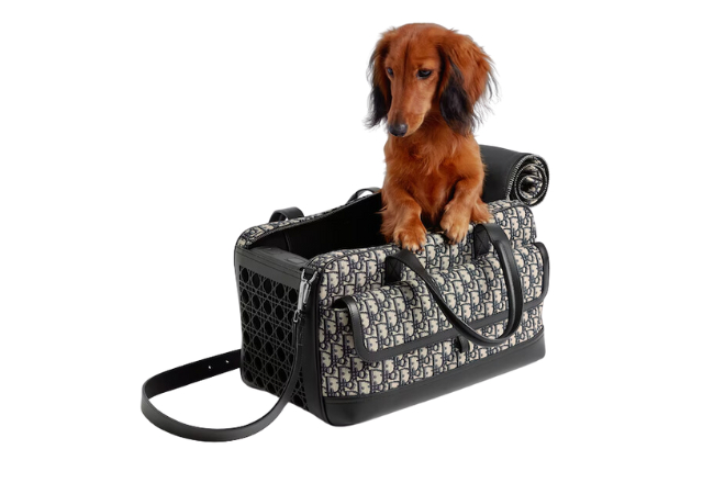 Hit the Road Pet Carrier Bag at Dior (Inside Holt Renfrew)