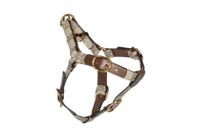 Small_Medium Pet Harness at Gucci