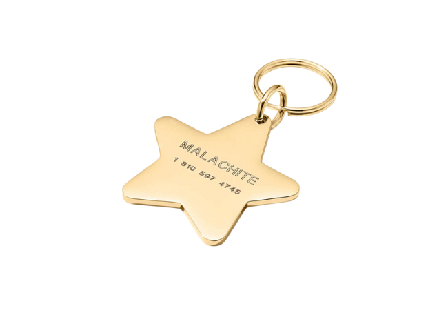 Star Pet Tag at Mejuri
