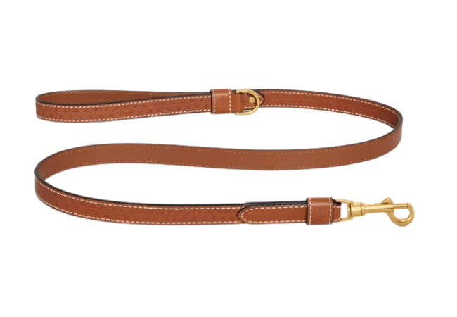 Thin Dog Leash in Natural Calfskin with Triomphe Embossed at Celine