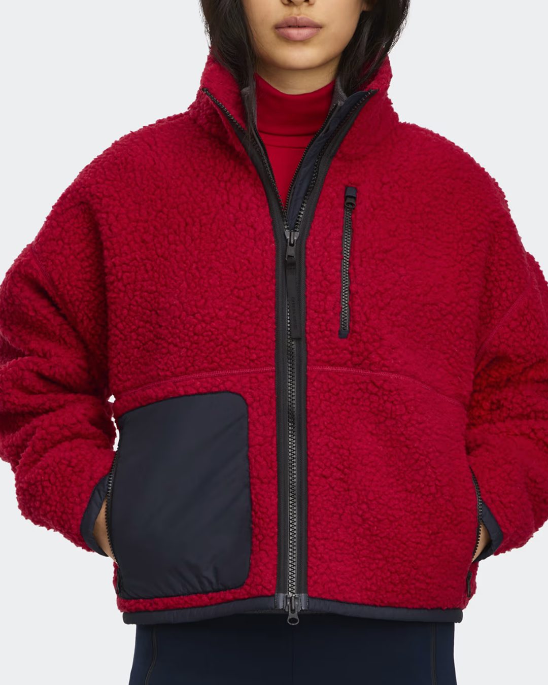 Canada Goose